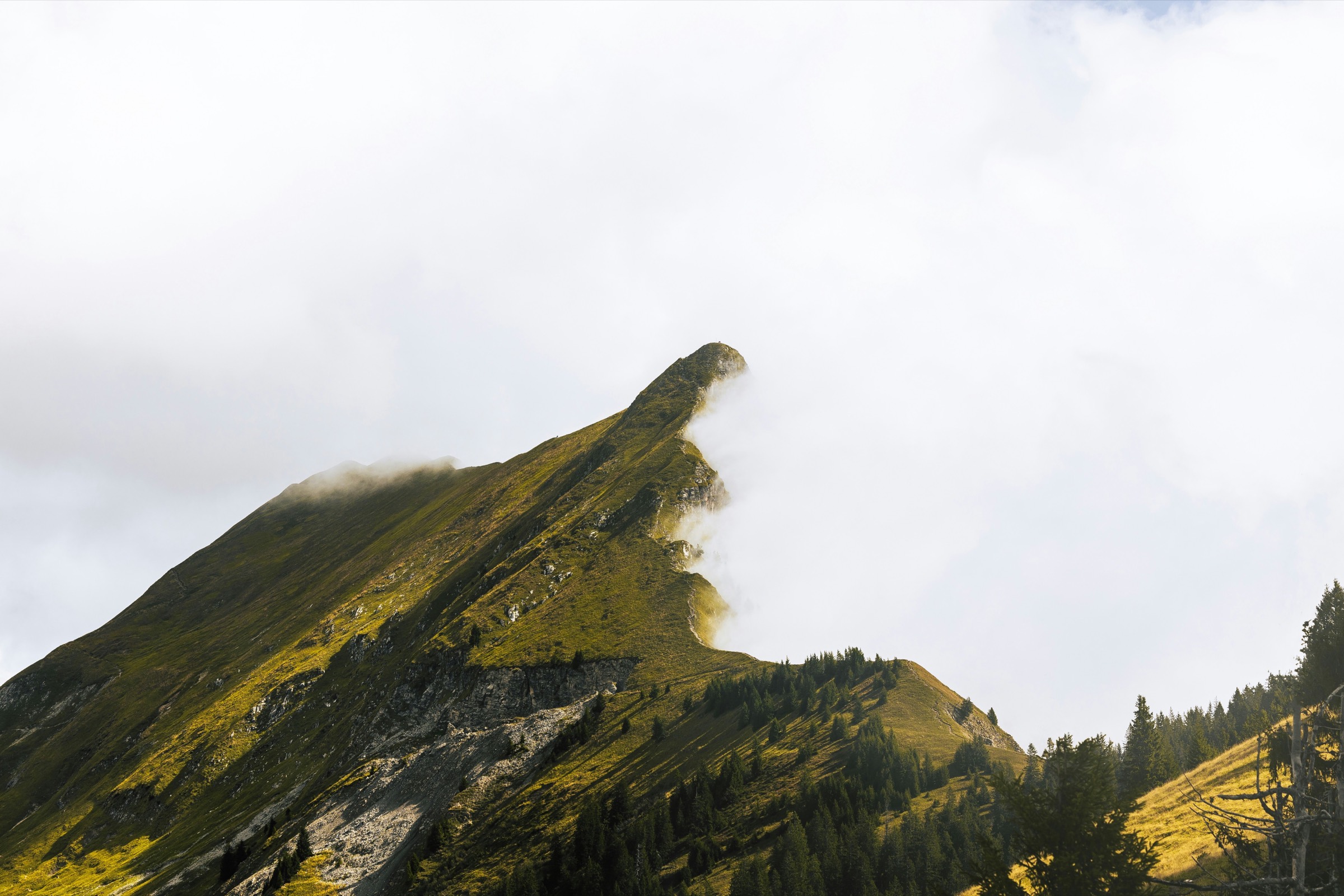 A green ridge rising out of the mist